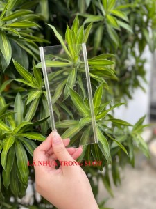 Rèm Lá Nhựa Ngăn Phòng Tại Quận Thanh Xuân | Giá Tốt, Bền Đẹp